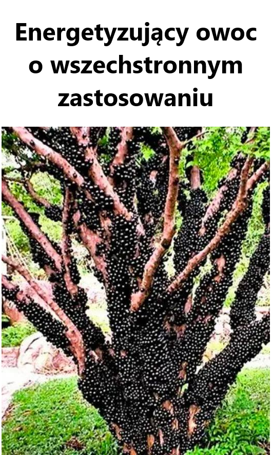 Energetyzujący owoc o wszechstronnym zastosowaniu
