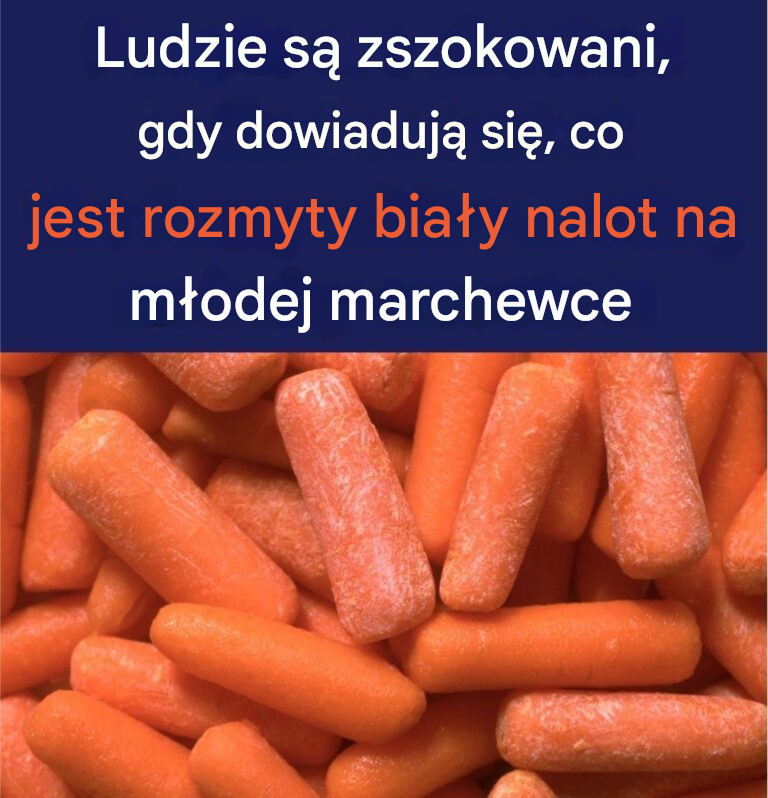 Czym jest puszysta, biała powłoka na młodych marchewkach