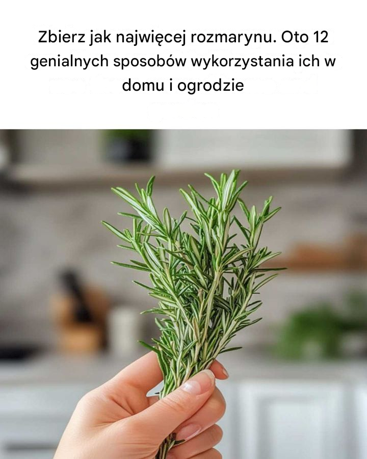 Muszę już iść i zacząć zbierać!