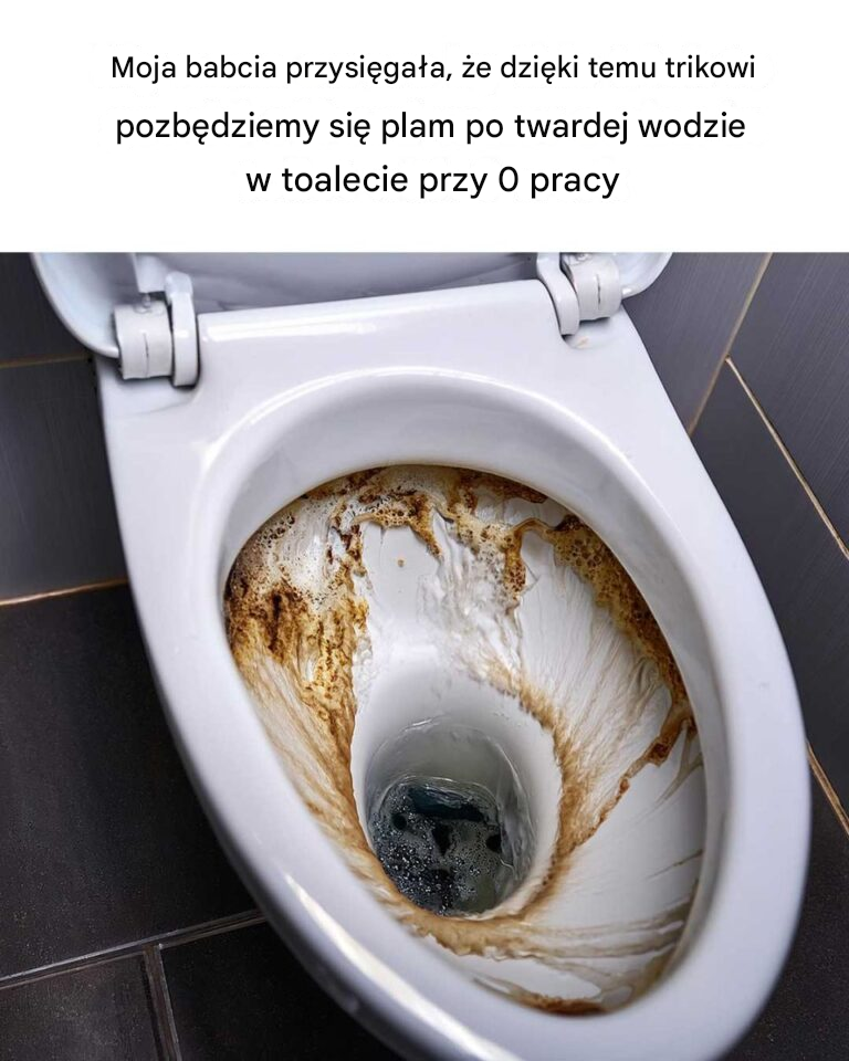 Sekret lśniącej toalety według Nany!
