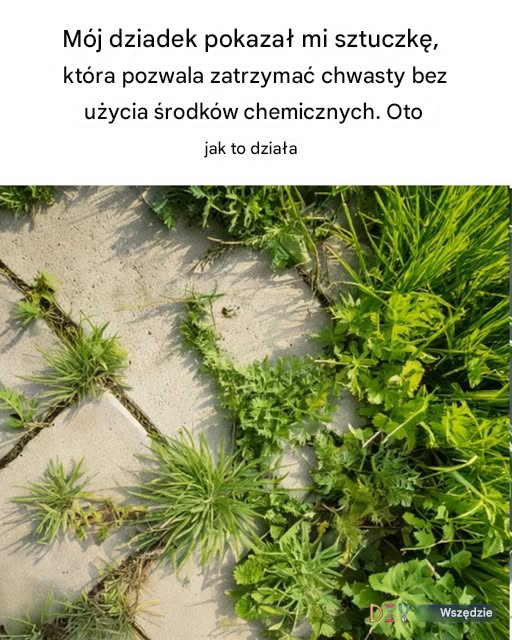 Metoda mojego dziadka jest genialna