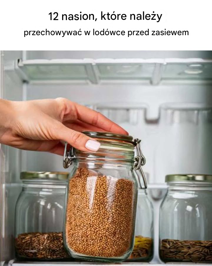 Nie miałem o tym pojęcia