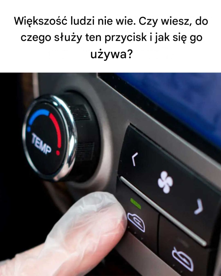 Nigdy nie wiedziałem, co to robi