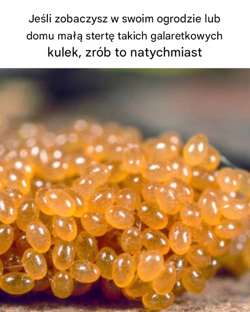 Wyglądają tak nieszkodliwie