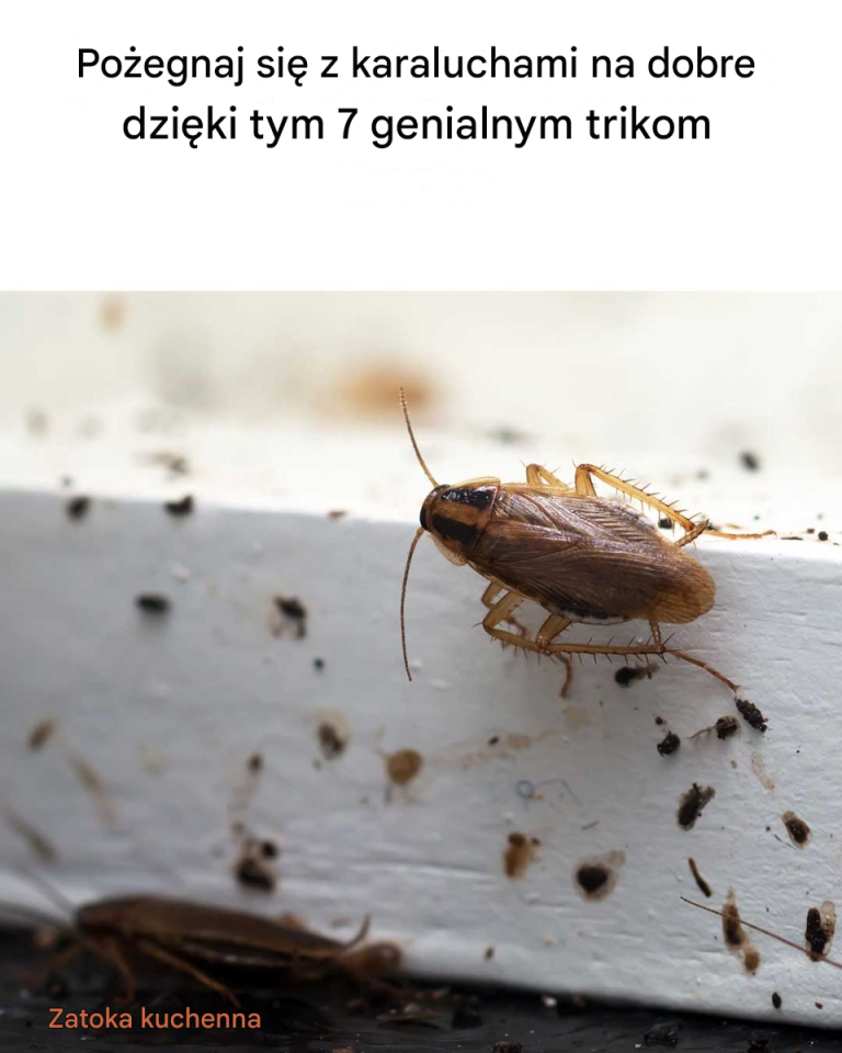 Tak, tak, tak! Do tej pory byłem w całkowitej ciemności