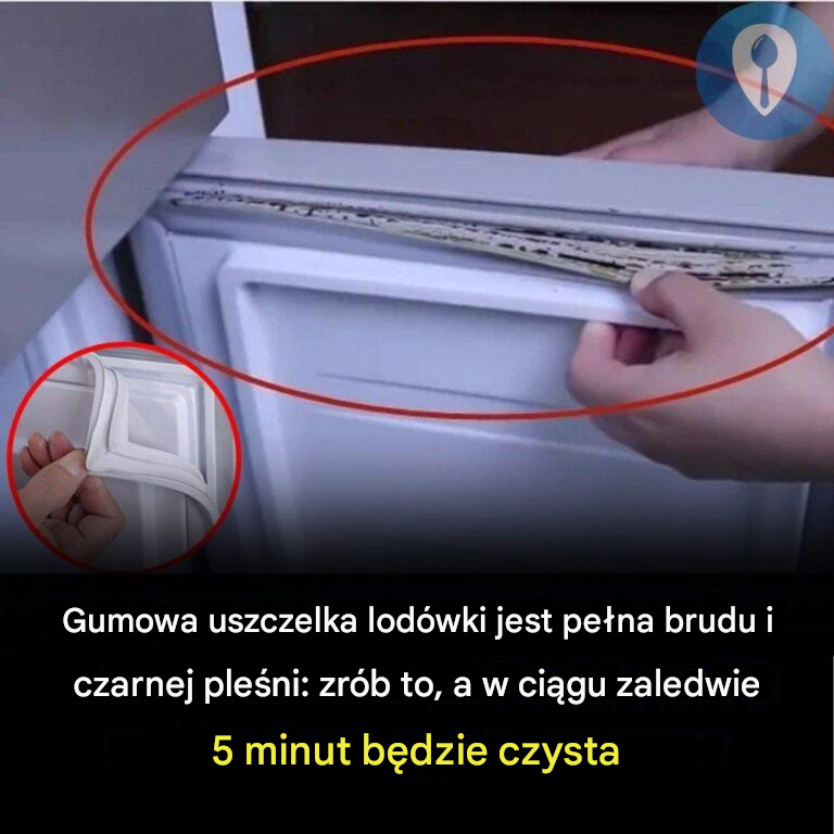 Jak czyścić uszczelkę gumową lodówki