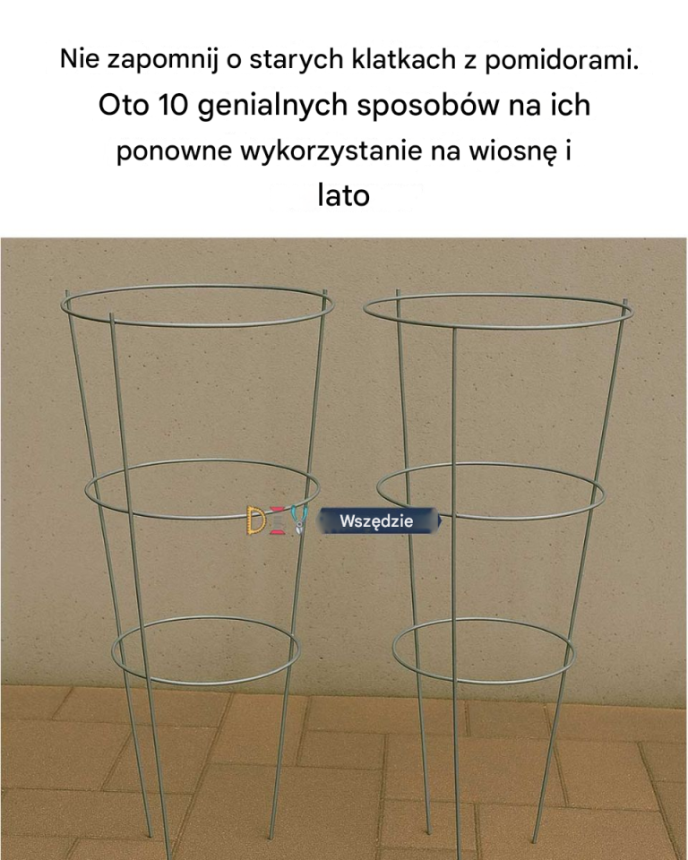 Nie przegap starych klatek na pomidory. Oto 10 genialnych sposobów na ich ponowne wykorzystanie wiosną i latem
