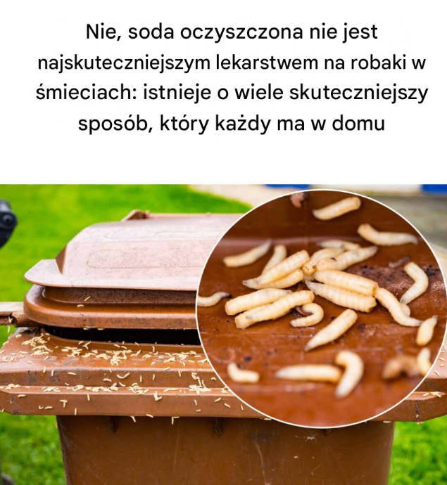 Nie, soda oczyszczona nie jest najskuteczniejszym lekarstwem na robaki w śmieciach: istnieje o wiele skuteczniejszy sposób, który każdy ma w domu