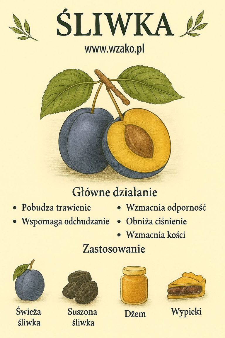 Śliwka – naturalne wsparcie dla zdrowia i smaku