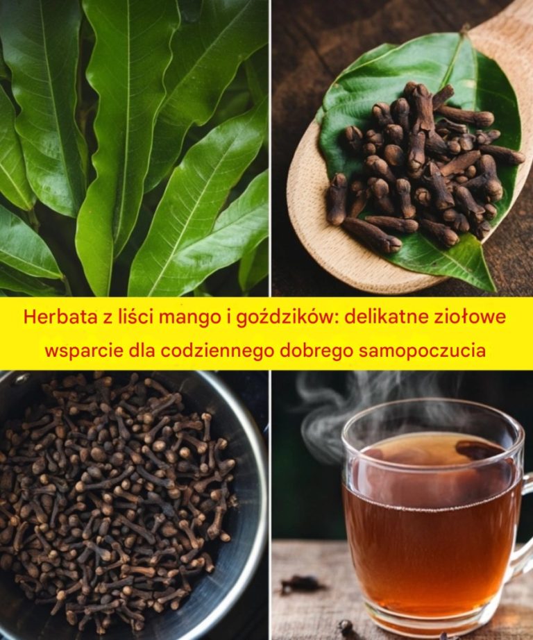 Herbata z liści mango i goździków: delikatne ziołowe wsparcie dla codziennego dobrego samopoczucia