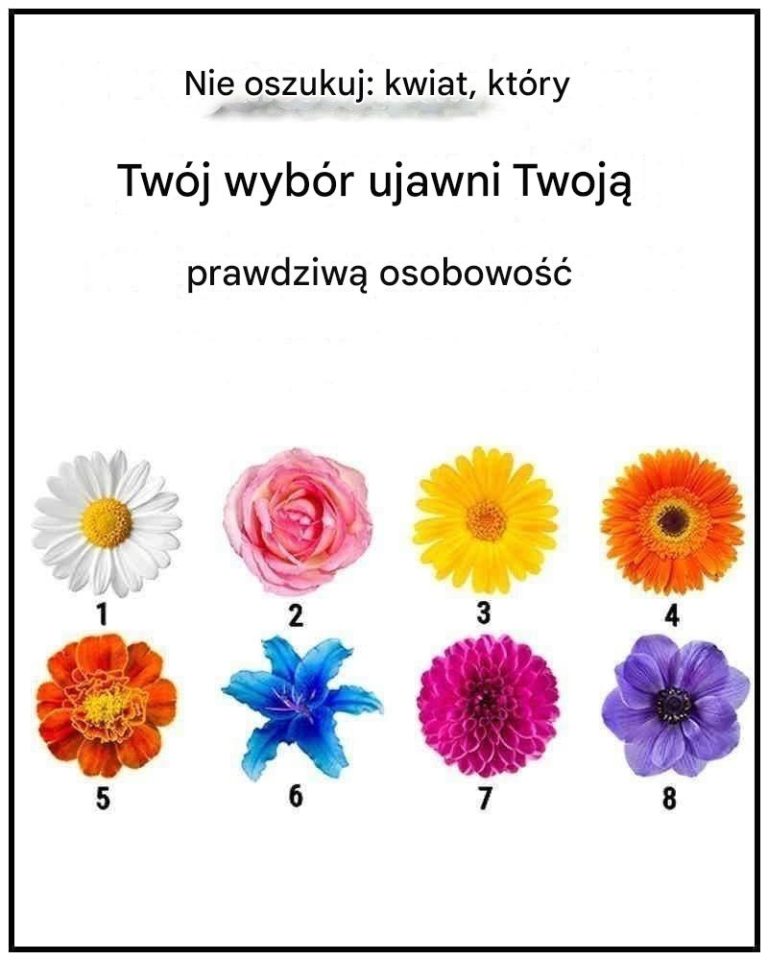 Bez gadania. Kwiat, który wybierzesz, ujawni twoją prawdziwą cechę charakteru.